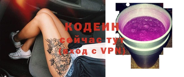 дурь Шадринск