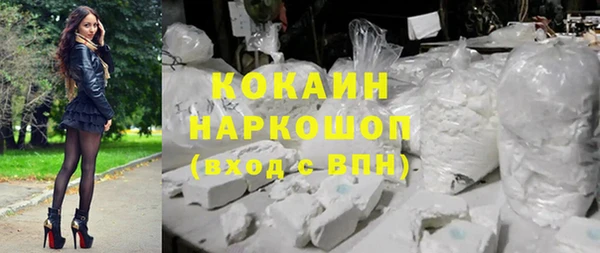 PSILOCYBIN Осинники