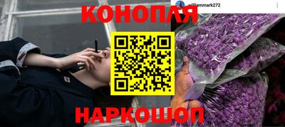 mdpv Гусь-Хрустальный