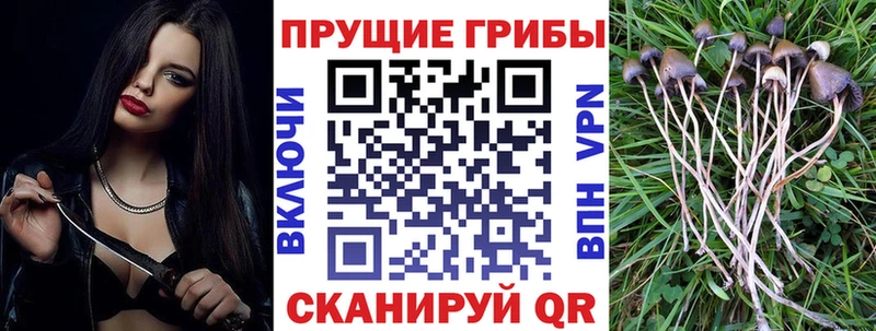 MEGA ссылки Зима Псилоцибиновые грибы MAGIC MUSHROOMS