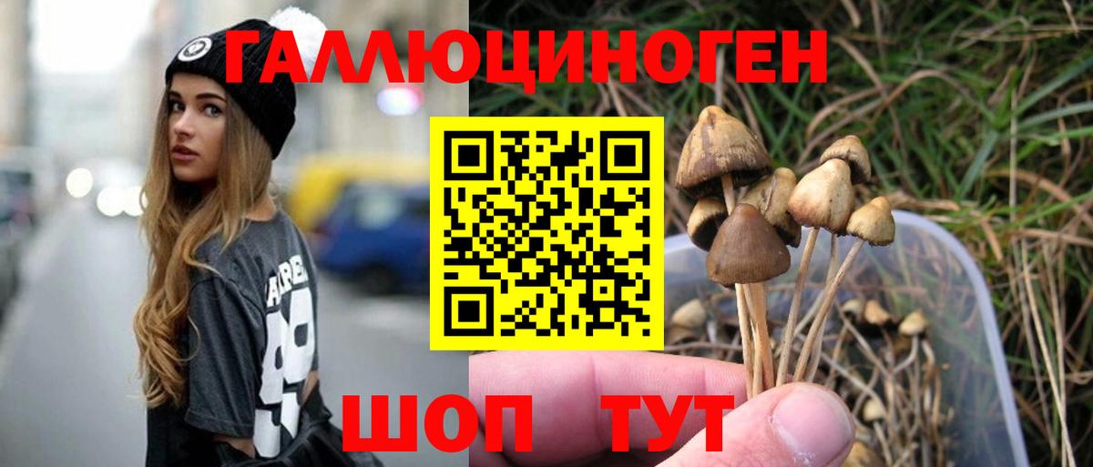 Псилоцибиновые грибы MAGIC MUSHROOMS  Зима 