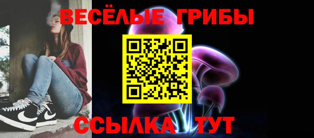 Зима  Псилоцибиновые грибы ЛСД  Вход с VPN 