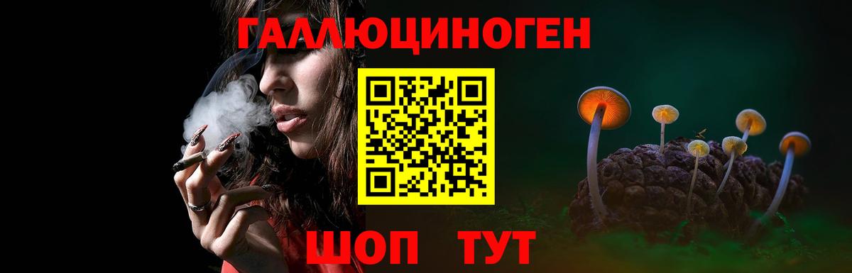 Метамфетамин  Зима  Конопля  МЕФ   ГАШ  MDMA  Как найти наркотики?  Кокаин  Alpha-PVP СК  