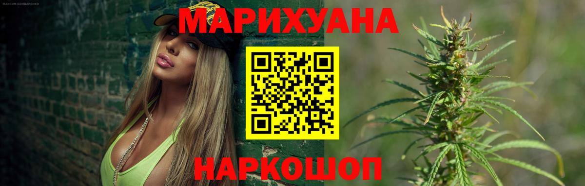 Конопля план Зима